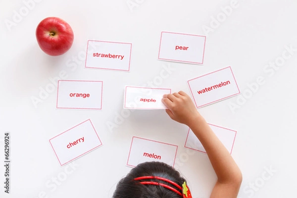 Obraz 英単語の勉強