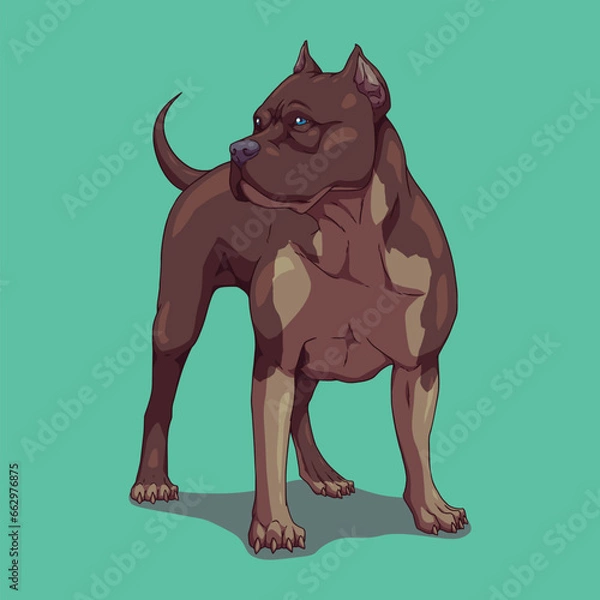 Obraz Dog american bully pitbull	