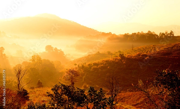 Obraz Grass Fields on Mountain at Sunrise