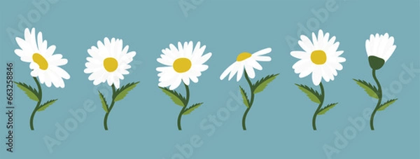 Obraz Daisy flower background.Eps 10 vector.