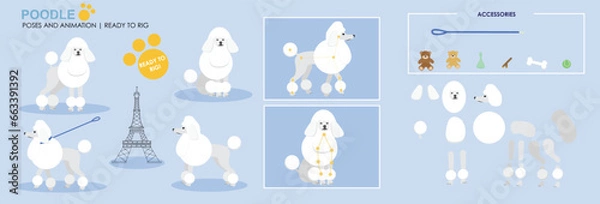 Fototapeta White Poodle Dog character for animation. Created with various poses, expressions and angles, ready to rig for animation.	
