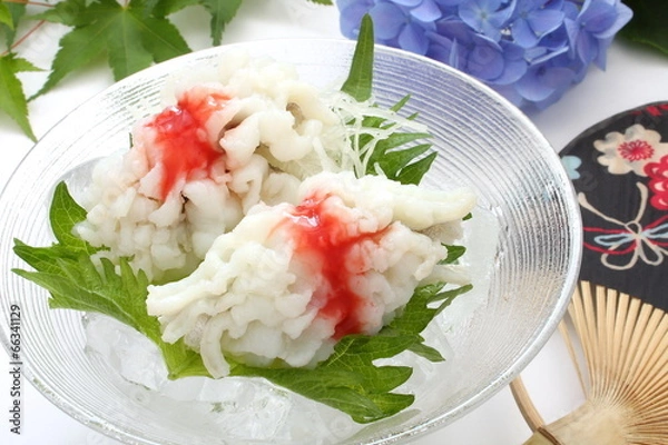 Obraz 鱧の湯引き　夏の料理