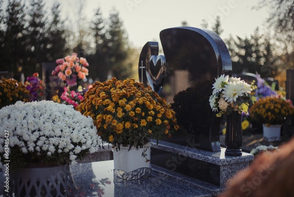 Obraz Colorful chrysanthemums decorate the tombstones in the cemetery. Floral decoration on a tomb stone. Autumn scene. Chrysanthemum flowers on the grave during All Saints' Day