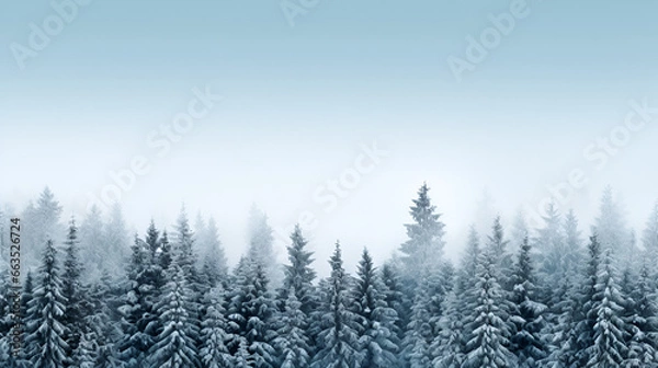Fototapeta winter wallpaper with snow covered trees