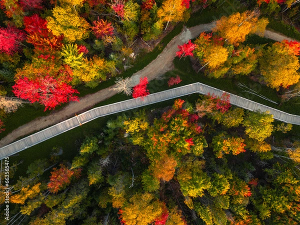Fototapeta Aerial view of winding river in Laurentian mountains, Quebec, Canada during the fall