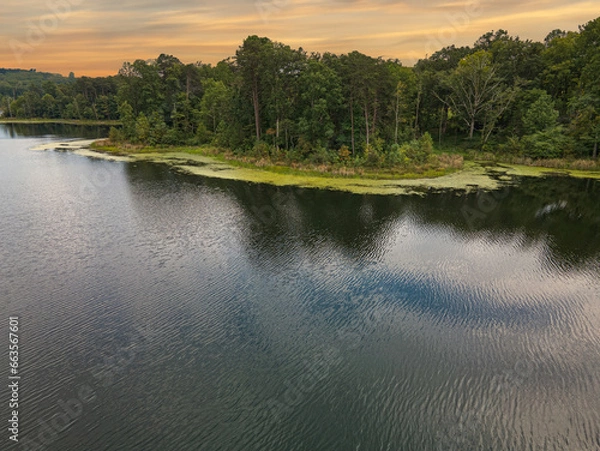 Obraz lake and forest
