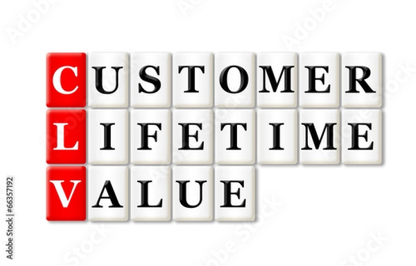 Obraz Customer Lifetime Value