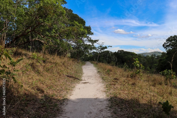 Obraz Caminho - Cerrado
