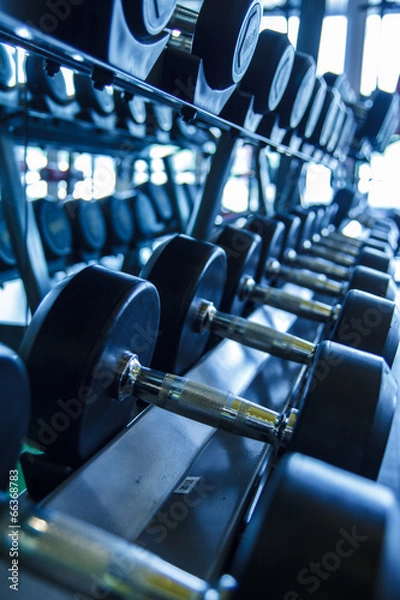 Obraz Gym weights