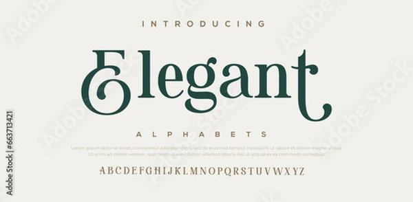 Fototapeta Elegant Font Uppercase Lowercase and Number. Classic Lettering Minimal Fashion Designs. Typography modern serif fonts regular decorative vintage concept. vector illustration