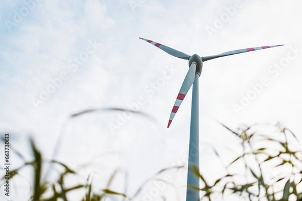 Fototapeta Wind turbine in a field for sustainable energy and against climate change and global warming