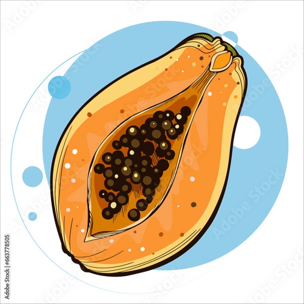 Fototapeta Vector illustration of summer tropical fruit for healthy lifestyle. Half papaya. Doodle flat icon isolated on white background with colorful circle. Element for digital resources graphic fruit