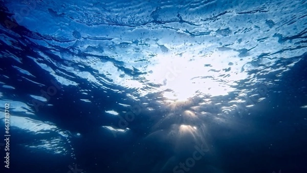 Fototapeta Looking up on the blue sky and shining sun from the sea bottom.