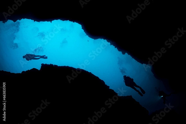 Obraz divers from below