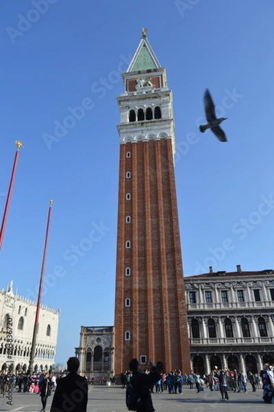 Obraz torre de vencia