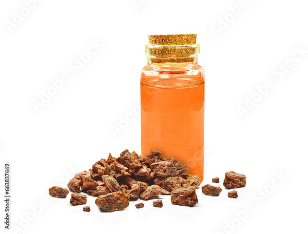 Fototapeta propolis tincture in bottle isolated on white background