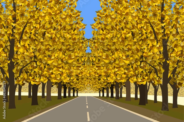 Fototapeta 樹木_07_秋のいちょう並木