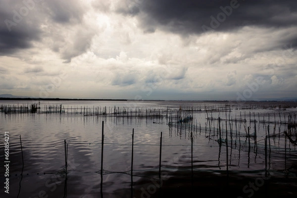 Obraz beautiful landscape of the Albufera on a cloudy day