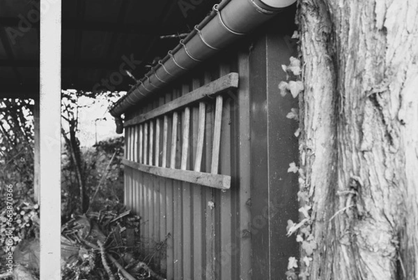 Obraz Vieille échelle