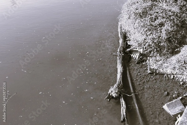 Obraz épaves automnales