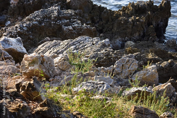 Fototapeta Küste Kroatien