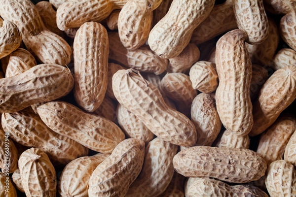 Fototapeta ピーナッツ