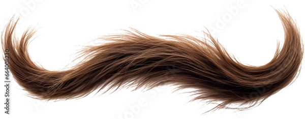 Obraz mustache made from long hair isolated on white background