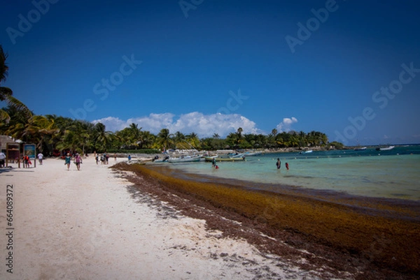 Fototapeta beach at mexico