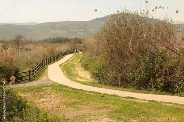 Fototapeta path in the countryside