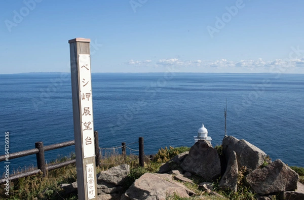 Obraz 利尻島ペシ岬