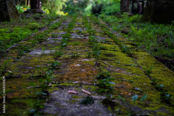 Obraz 寂れた神社