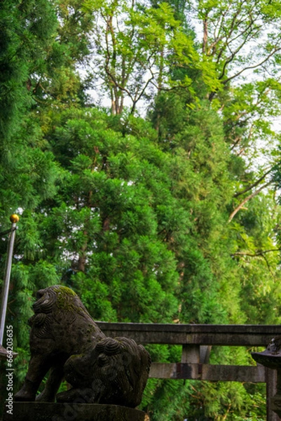 Obraz 寂れた神社