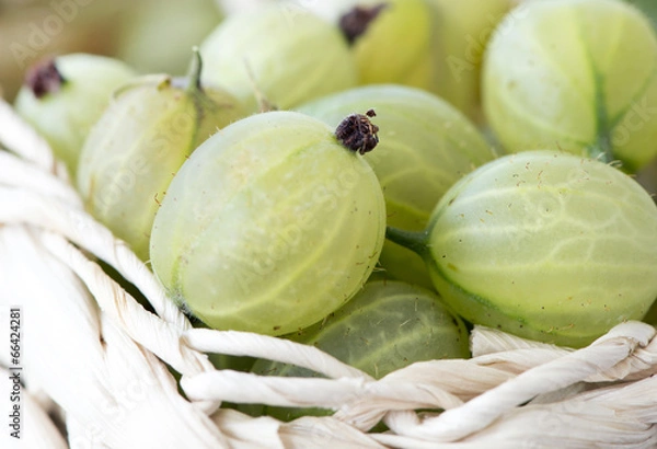 Fototapeta Grüne Stachelbeeren