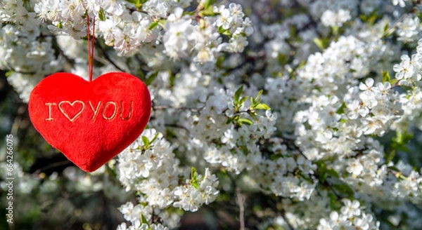 Fototapeta A symbol of love among the branches of a blooming cherry tree
