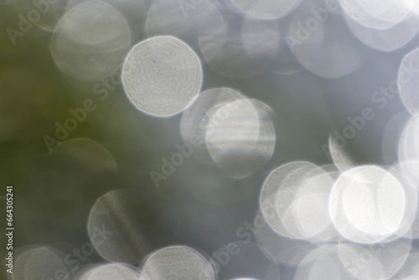 Obraz Blurry sunspots reflected in water