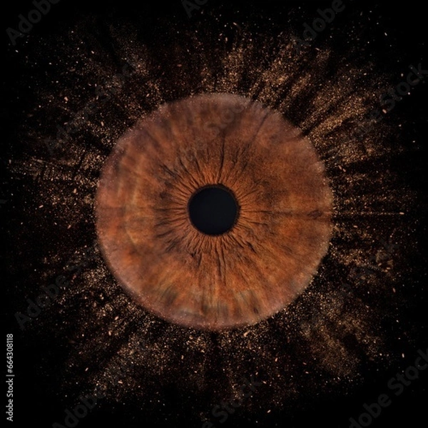 Fototapeta Human eye close up. Brown macro iris. Pupil on black background