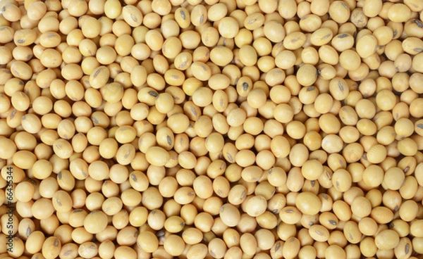Obraz soy bean pattern as background