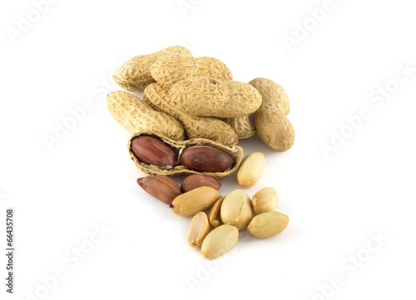 Obraz Dried peanuts in closeup