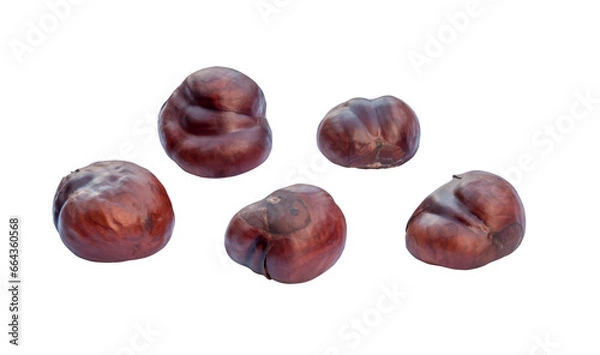 Fototapeta Chestnuts. Transparent Background.