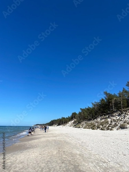 Obraz Wydmy nad morzem