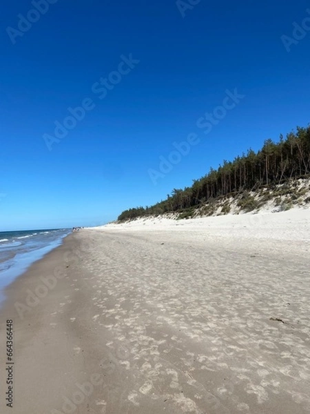 Obraz Wydmy nad morzem