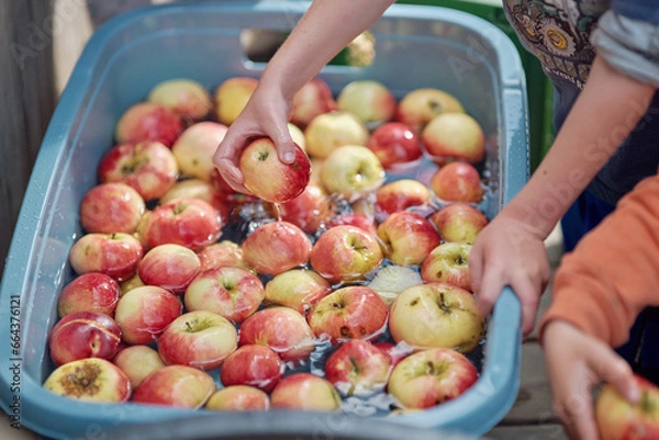 Obraz Apfelfest im Waldorfkindergarten