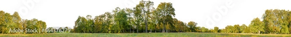 Fototapeta tree line trees autumn xl horizontal seamless arch viz cutout