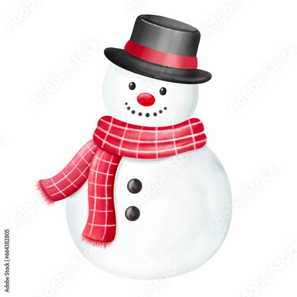 Obraz Snowman