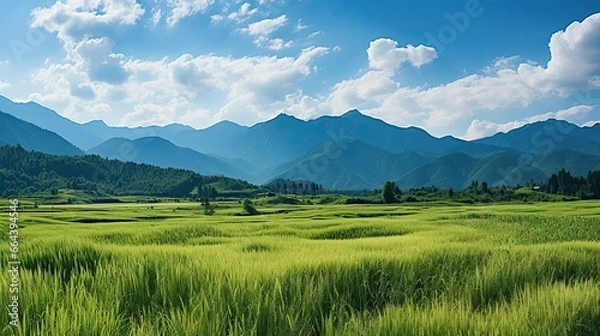 Fototapeta Panorama green rice field with mountain background. Agriculture environment illustration. Generative AI