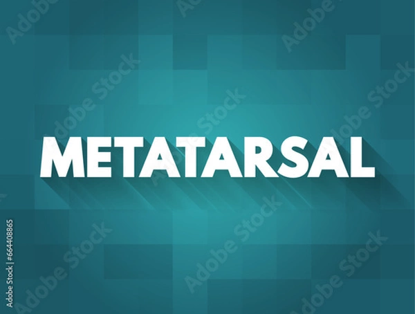 Fototapeta Metatarsal - group of five long bones in the foot, text concept background