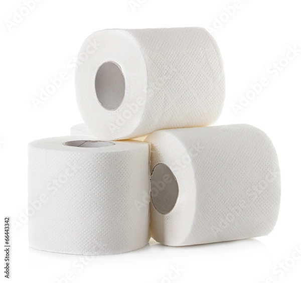 Obraz toilet paper