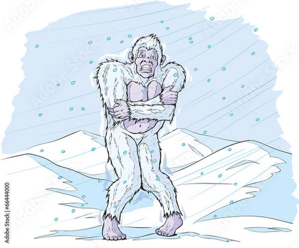 Obraz Cold Sasquatch