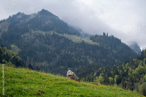 Obraz landscape in the morning
