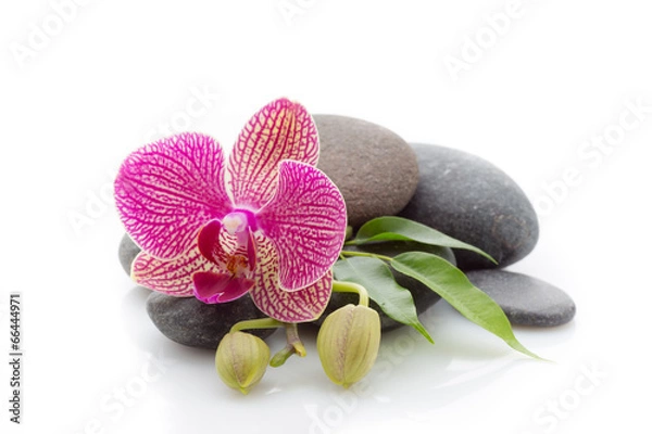 Fototapeta Spa stones